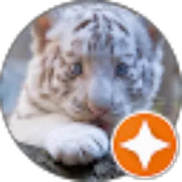 Review From n. Anggraheni