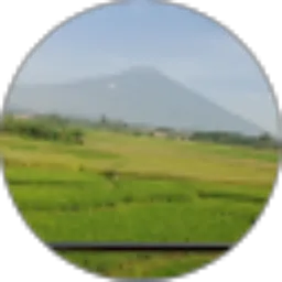 Review From Dimas Aryaputra