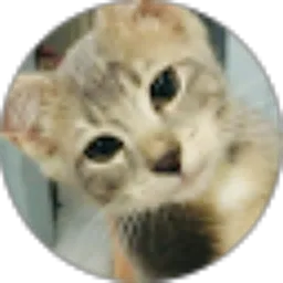 Review From ramse manse