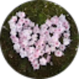 Review From metha anggraini