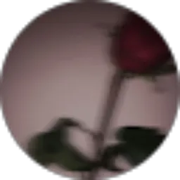 Review From Hello Panda