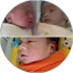 Review From Diki Kurnia