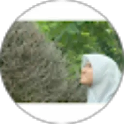 Review From Cut rahmi