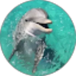 Review From Priscilla Thrisye