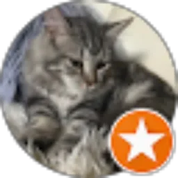 Review From Yogie Boo Boo