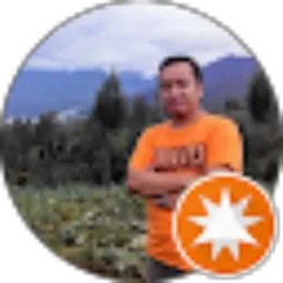 Review From Budi Setiawan