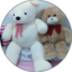 Review From Vhenaima putri