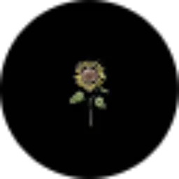 Review From Riza Safitri