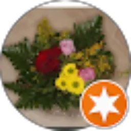 Review From Agus Wahyudi