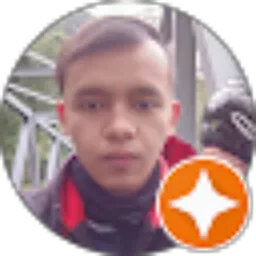 Review From Donny Prasetyo Handoko Putra