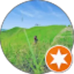 Review From Luli Anwar