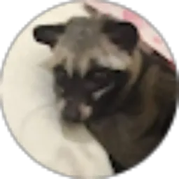 Review From Yustina Kristinawati