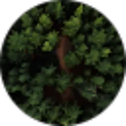 Review From Akela GP