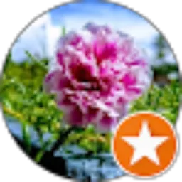 Review From Larasati