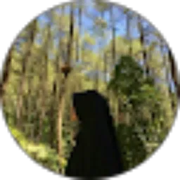 Review From Maulida Qosi Alfitri