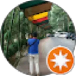 Review From ROYANNO channel