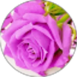 Review From Inda Aulia Azmi