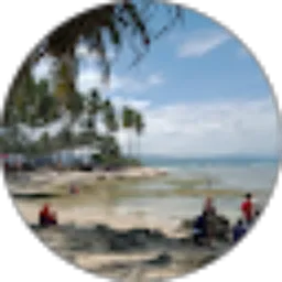 Review From widiana Bkl