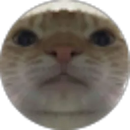 Review From Tri Tempest