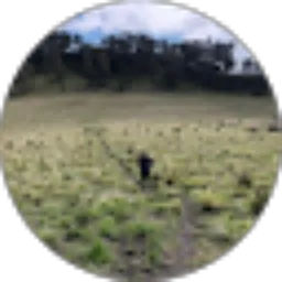 Review From Leonardo Euro