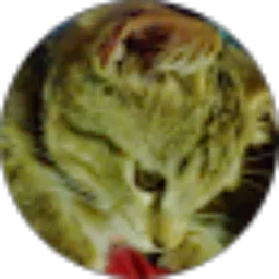 Review From Amelia Rizky Hutami