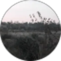 Review From Arinda Sindi