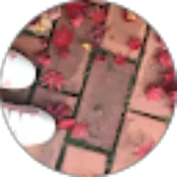 Review From Hidayatunnisa 15