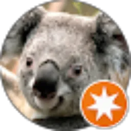 Review From Nelwin Laki