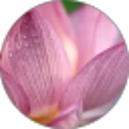 Review From Ferry D Irianto