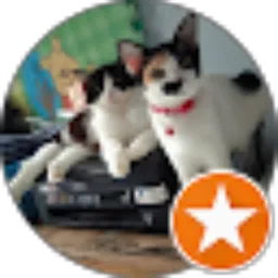 Review From Luciana Perdani