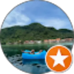 Review From Erwin Wijaya