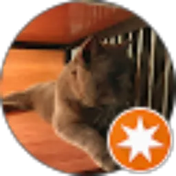 Review From Bayu Lee