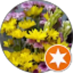 Review From Tris bekti