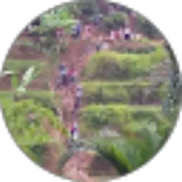 Review From Raden Setro