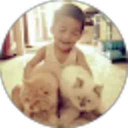 Review From hamizan story