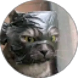 Review From Musfitra Diki