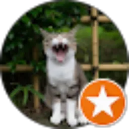 Review From Yaka yak