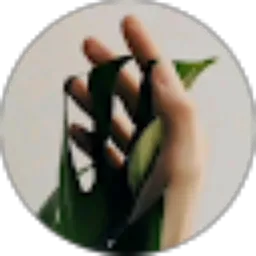 Review From Sidik muliawan