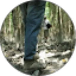 Review From wonderfull silo baru