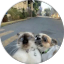 Review From windy rahmasari