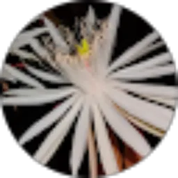 Review From Agustina Savitri