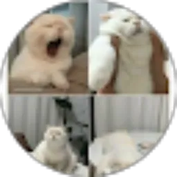 Review From Manusia Bumi