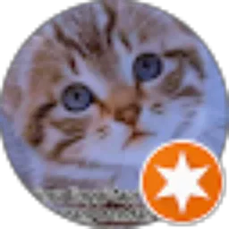 Review From Irwan Wisnanda