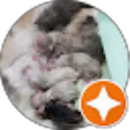 Review From Andy Kris