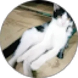 Review From FAHRUL ZEIN