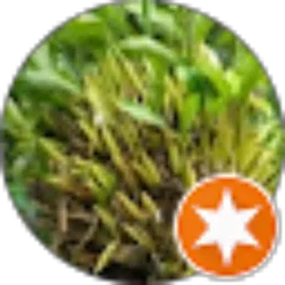 Review From H Hadiwibowo