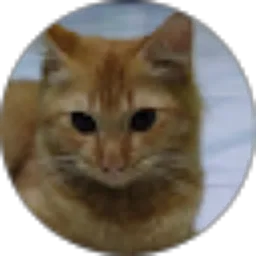 Review From Gunungrowo 363