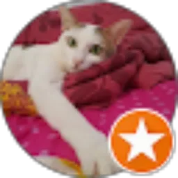 Review From Desi Elisa