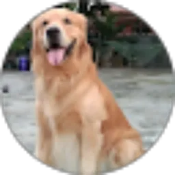 Review From Alvaro locky