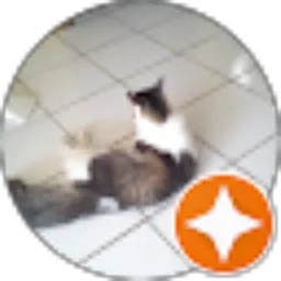 Review From RAH MANI